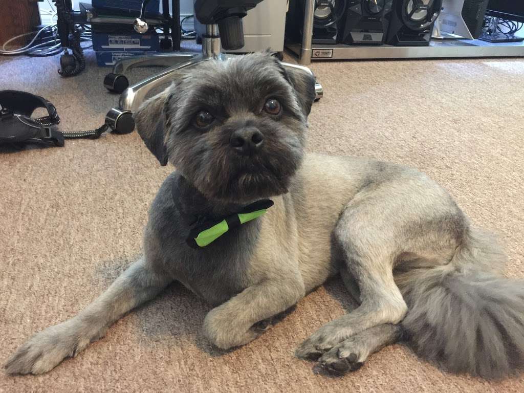 Barkingdales Pet Salon | 2905 Canoe Creek Rd, St Cloud, FL 34772, USA | Phone: (407) 593-6958 Barkingdales Pet Salon | 2905 Canoe Creek Rd, St Cloud, FL 34772, USA | Phone: (407) 593-6958