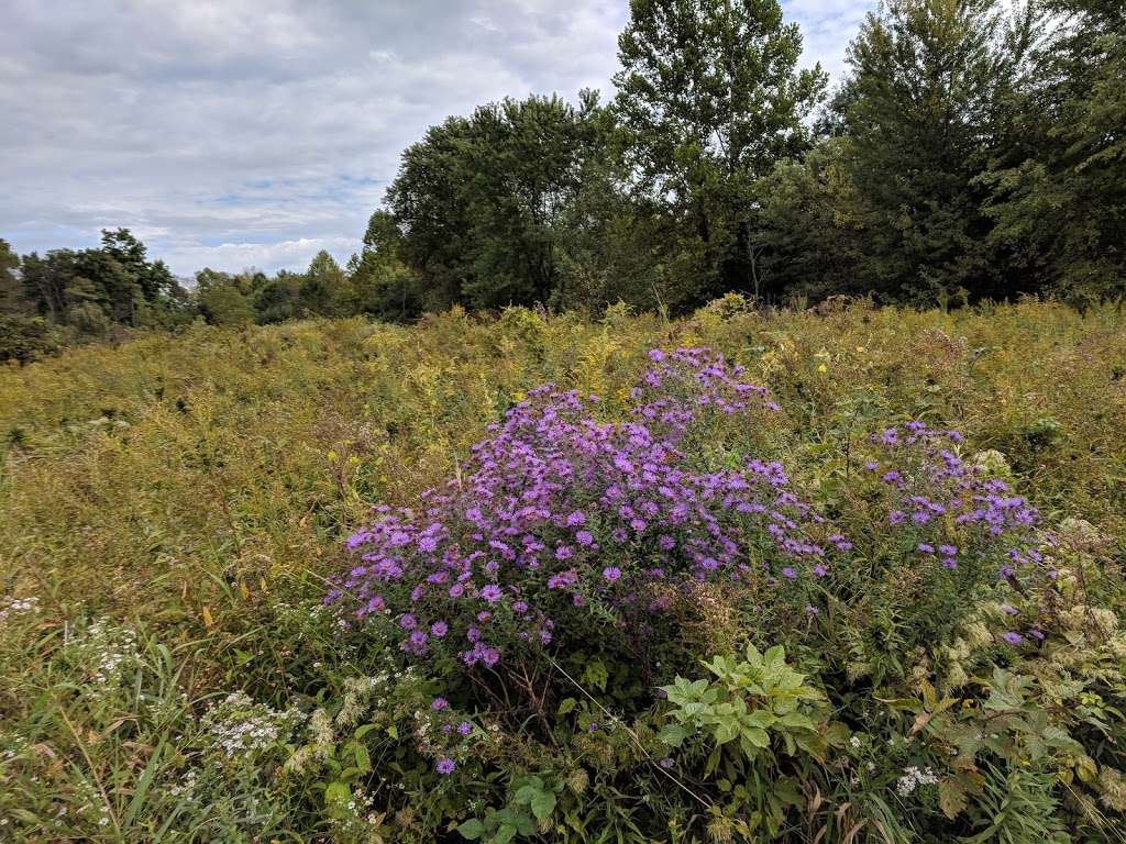 Appalachian Trail | 31 Canal Rd, Vernon Township, NJ 07462, USA