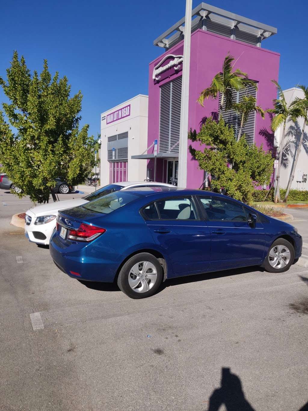 Off Lease Only Miami | 5580 NW 145th St, Miami Gardens, FL 33054, USA | Phone: (786) 439-2277