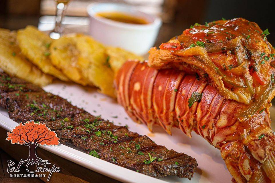 Pal Campo Restaurant Tampa | 9218 Anderson Rd, Tampa, FL 33634, USA | Phone: (813) 252-8271