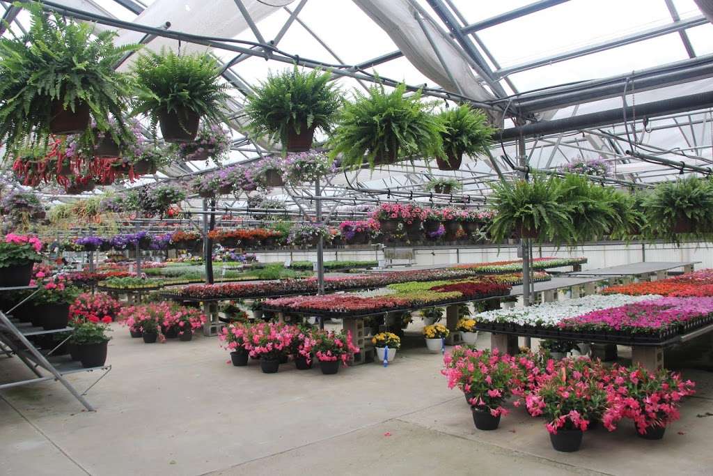 Leider Greenhouses & Garden Center | 1625 Leider Ln, Buffalo Grove, IL 60089 | Phone: (847) 634-4060