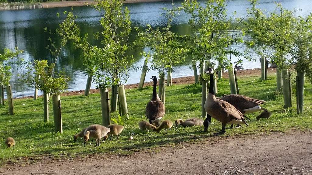 Barden Lake | Tonbridge TN9 1XU, UK