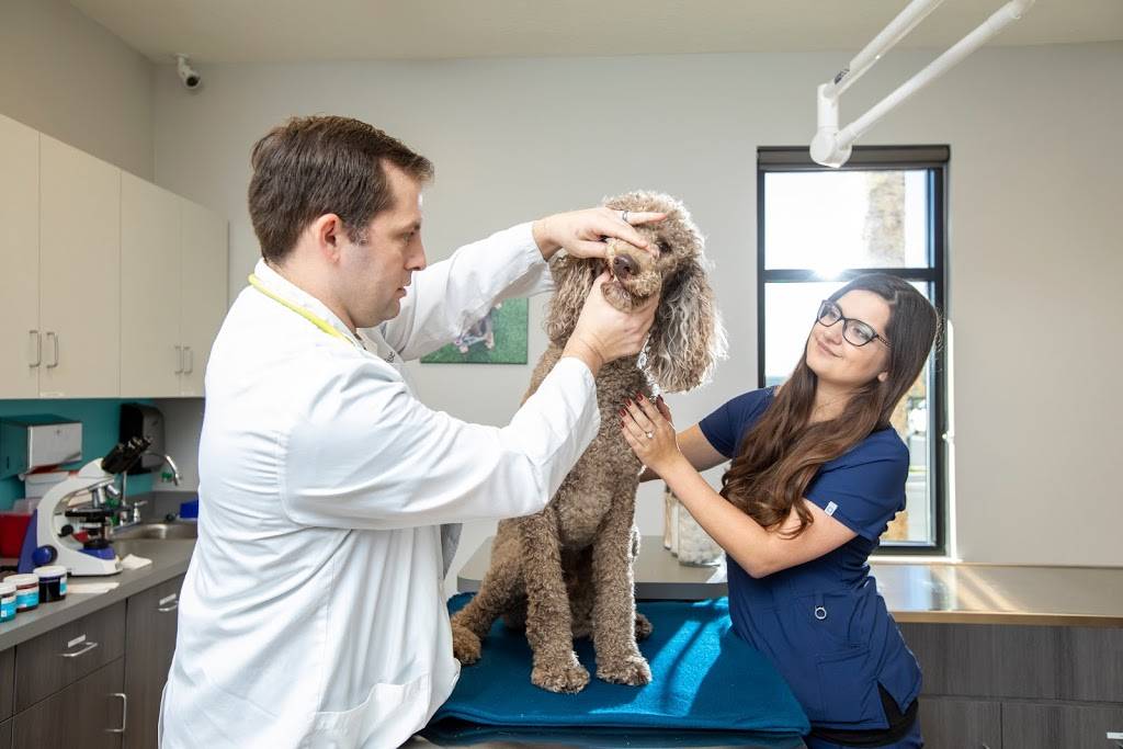 Pet Paradise Veterinary Clinic | 14976 Walden Springs Way, Jacksonville, FL 32258, USA | Phone: (904) 527-5115