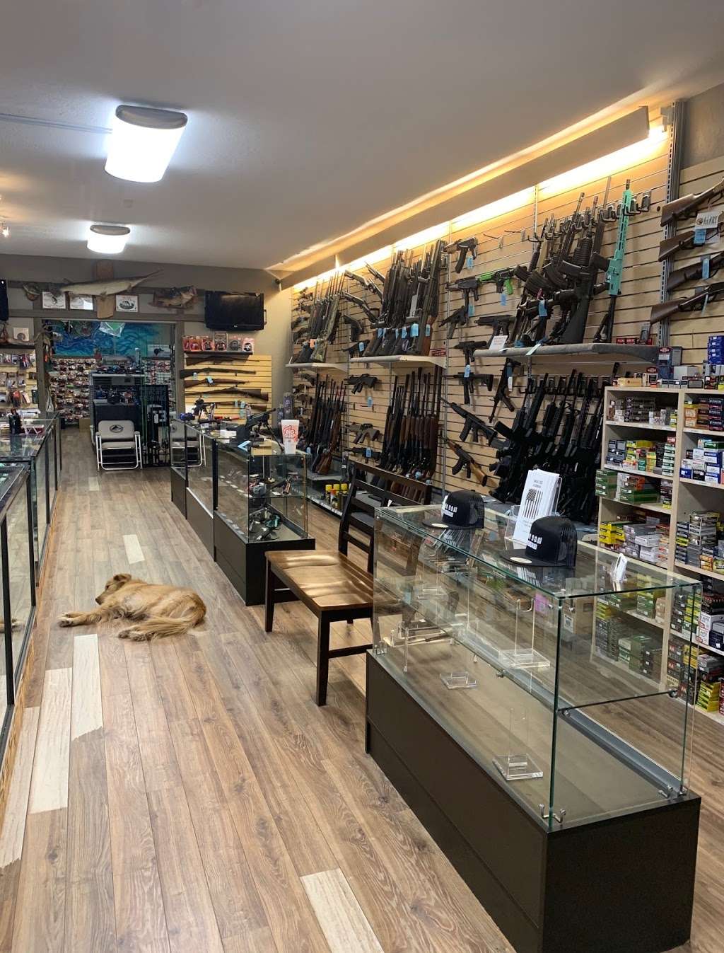 Steel Fox Firearms | 1520 S. State Road 15-A, DeLand, FL 32720, USA | Phone: (386) 740-7117