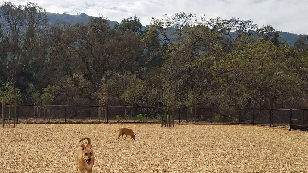 Marilyn Kane Trail head | Pleasanton, CA 94588, USA