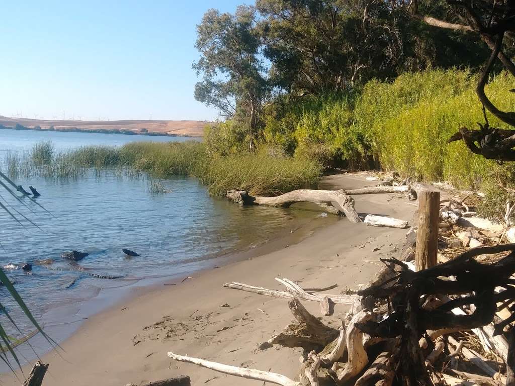 Rio Vista Fishing Spot #1 | 17645 CA-160, Rio Vista, CA 94571, USA