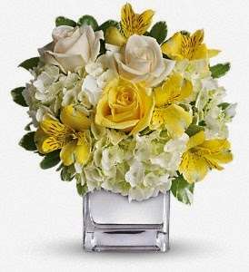 Amari Arrangements & Gifts LLC | 955 2nd St, Columbus, IN 47201, USA | Phone: (812) 375-1866