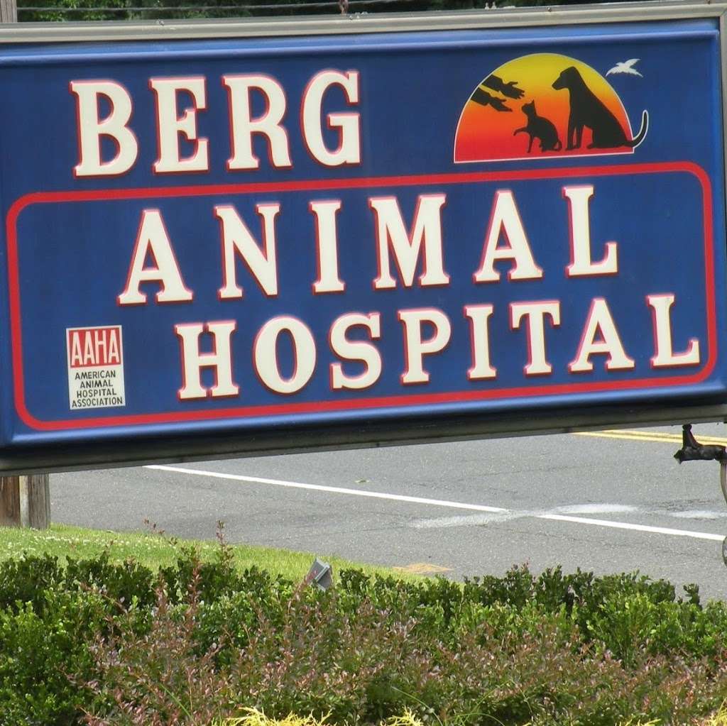 Berg Animal Hospital | 622 NJ-34, Matawan, NJ 07747 | Phone: (732) 566-6550