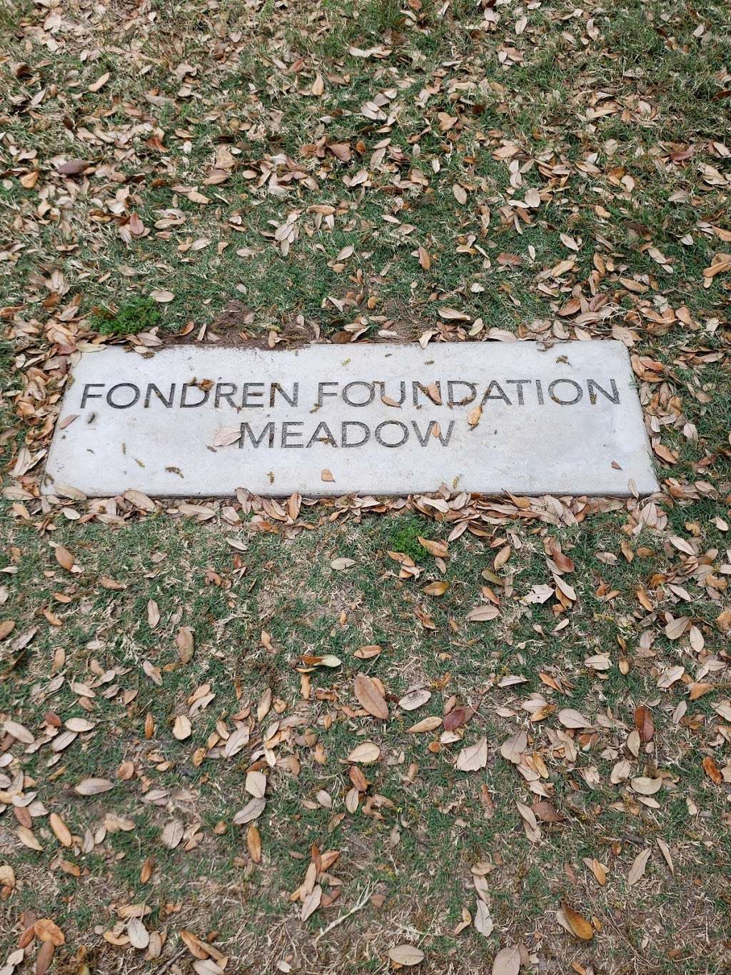 Fondren Foundation Meadow | Allen Pkwy, Houston, TX 77019, USA