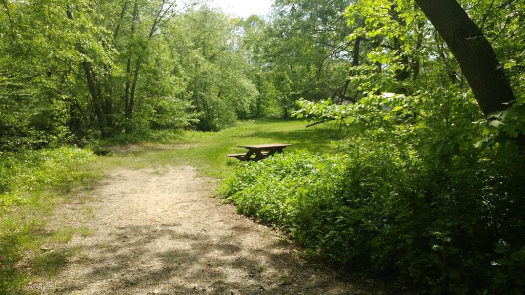 Rancocas Creek Linear Park | 22 South St, Medford, NJ 08055, USA | Phone: (609) 654-2608