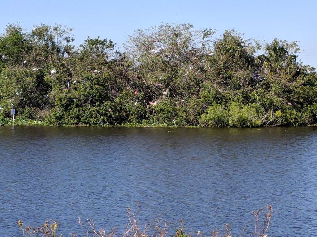 Fellsmere Grade Recreation Area | Melbourne, FL 32904, USA | Phone: (727) 514-3647