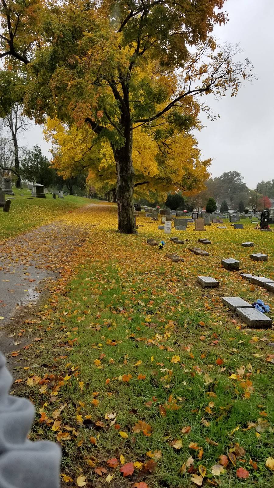 Louisville Cemetery Association | 1339 Poplar Level Rd, Louisville, KY 40217, USA | Phone: (502) 636-5444