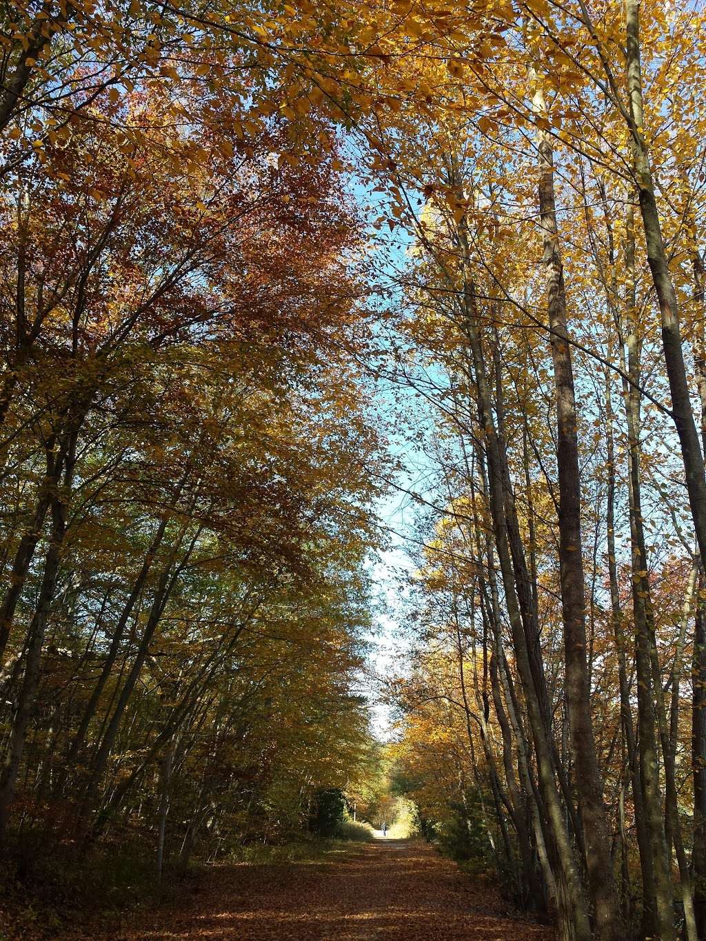 Stillwater Scenic Trail Parking | Stillwater Scenic Trail, Smithfield, RI 02917, USA