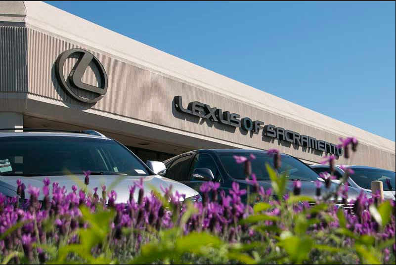 Lexus of Sacramento | 2600 Fulton Ave, Sacramento, CA 95821 | Phone: (916) 465-6330