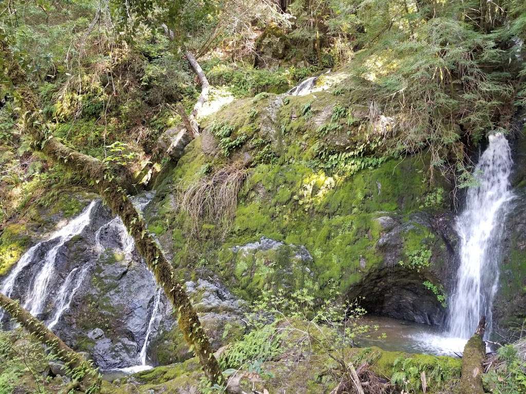 Gary Giacomini Open Space Preserve | San Geronimo Ridge Rd, Forest Knolls, CA 94933