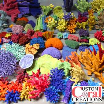 Custom Coral Creations | 6879 N Hollywood Blvd, Las Vegas, NV 89115