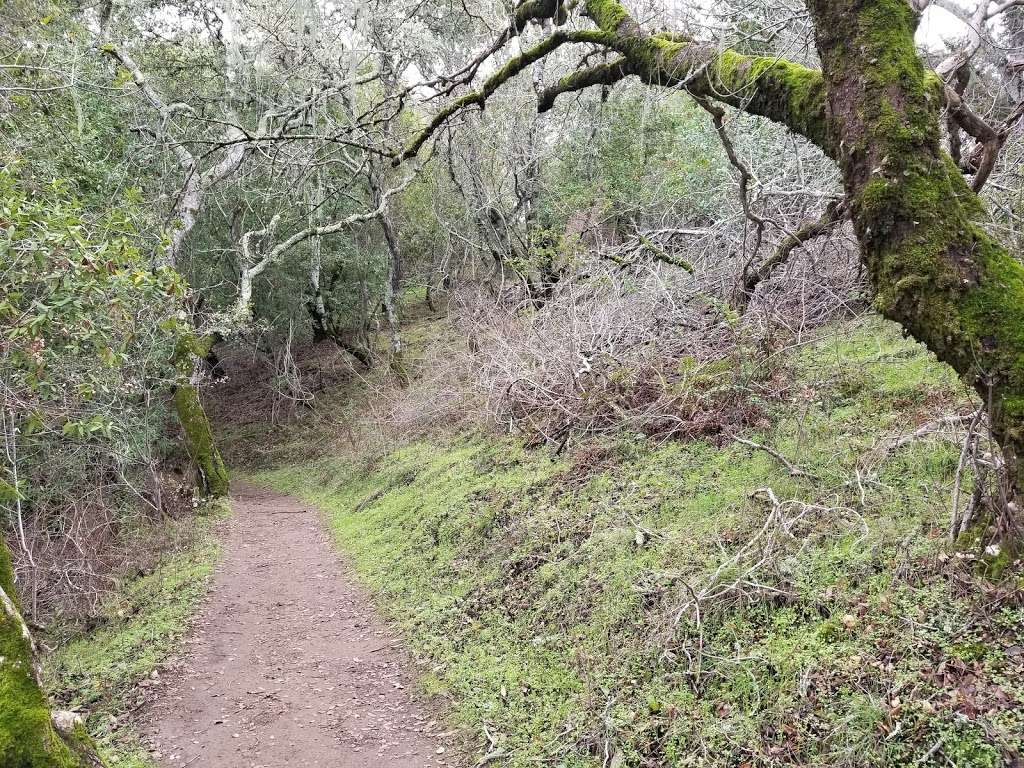 Sunset Trailhead, Edgewood Park | 599-501 Robertson Way, Redwood City, CA 94062, USA