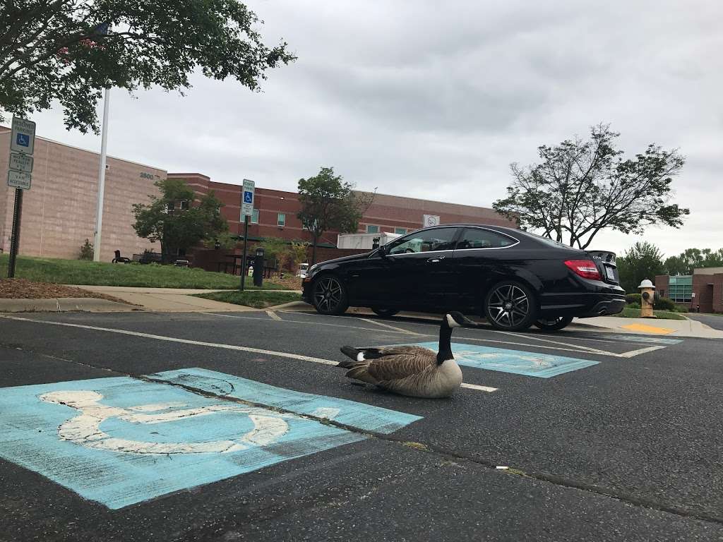 CPCC Levine Campus 2800 Campus Ridge Rd, Matthews, NC 28105, USA BusinessYab