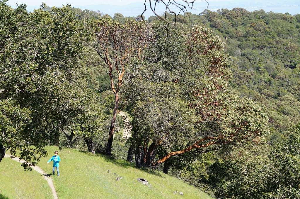 Ignacio Valley Preserve | Novato, CA 94949, USA