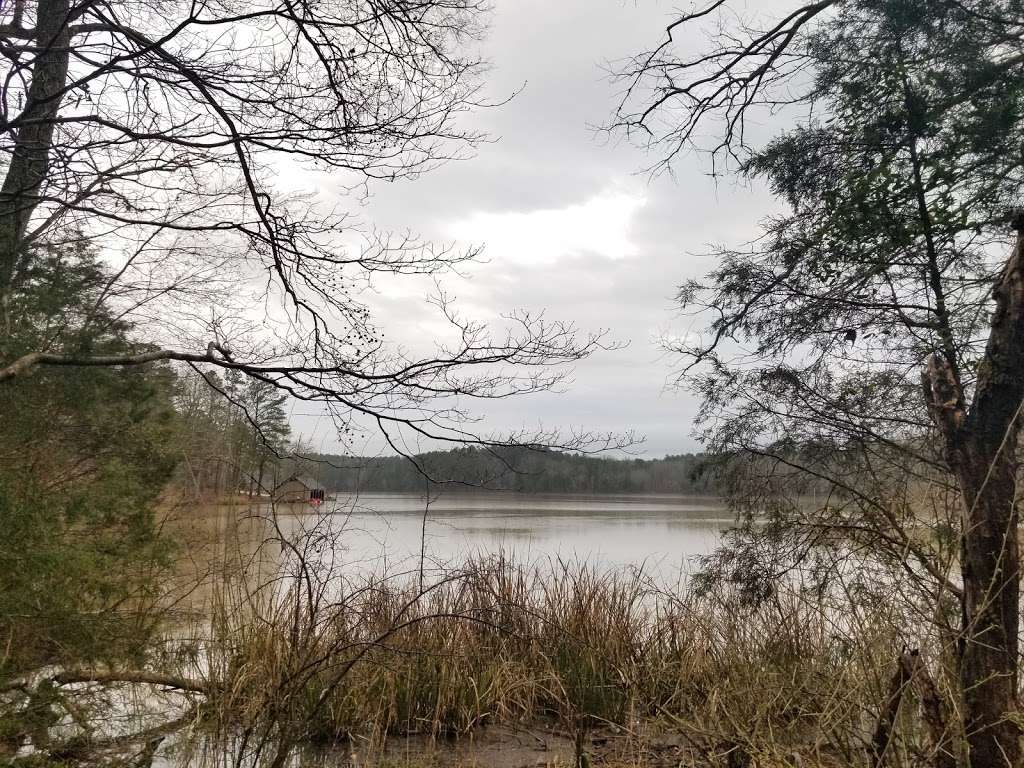 Chester State Park | 759 State Park Rd, Chester, SC 29706, USA | Phone: (803) 385-2680