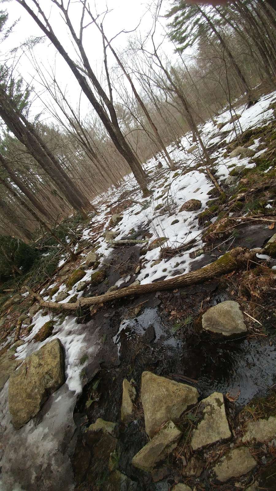 Great Hill Recreation Area | 4R Piper Ln, Acton, MA 01720, USA