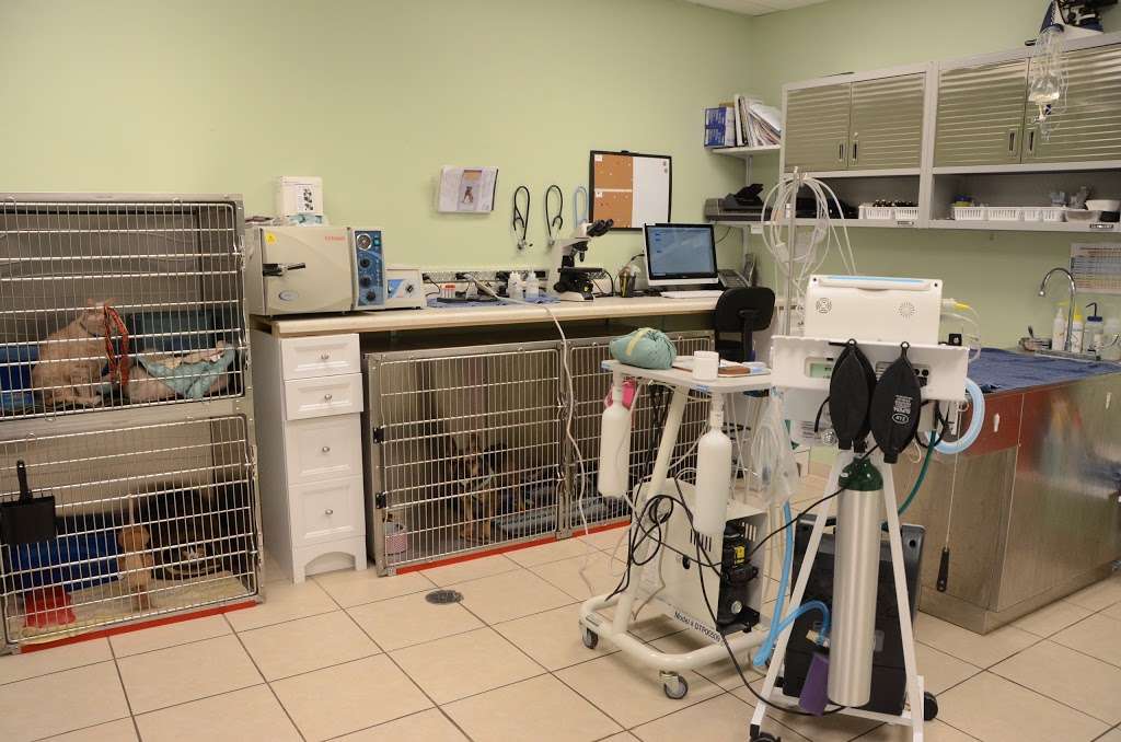 Gilmer Road Animal Hospital | 21198 Commercial Dr, Mundelein, IL 60060 | Phone: (224) 475-0758