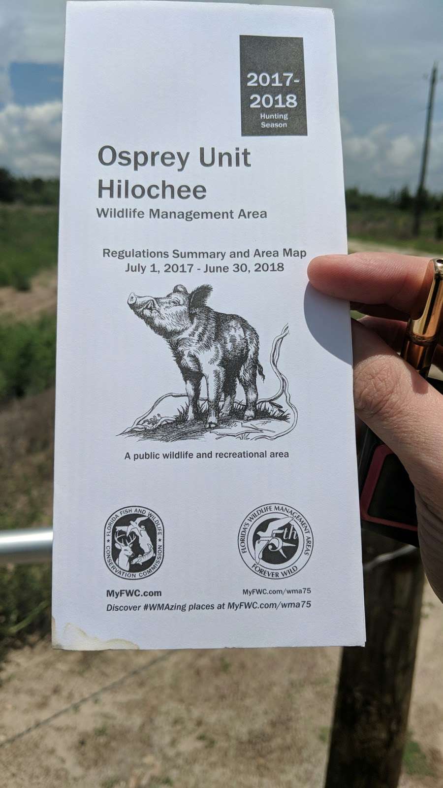 Hilochee Wildlife Management Area, Osprey Unit | 6239 Co Rd 557, Polk City, FL 33868 | Phone: (863) 648-3200