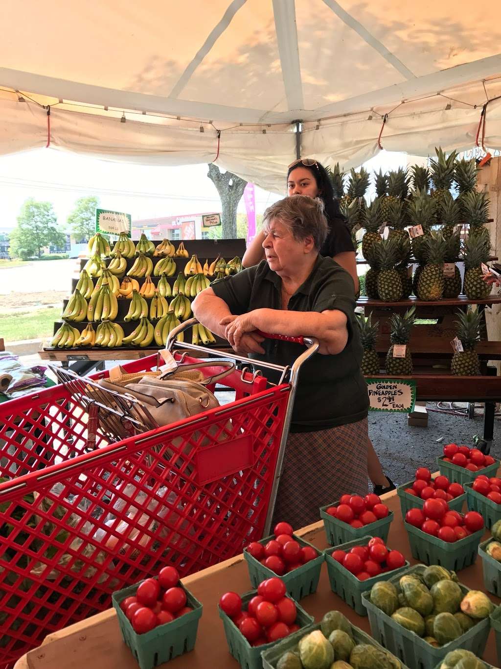 Toms Farm Stand Bartlett | 105 E Lake St, Bartlett, IL 60103, USA