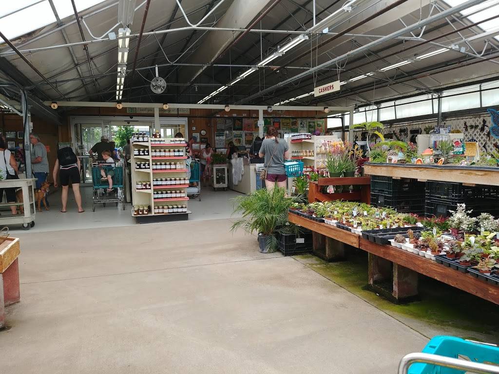 Echters Nursery & Garden Center | 5150 Garrison St, Arvada, CO 80002, USA | Phone: (303) 424-7979