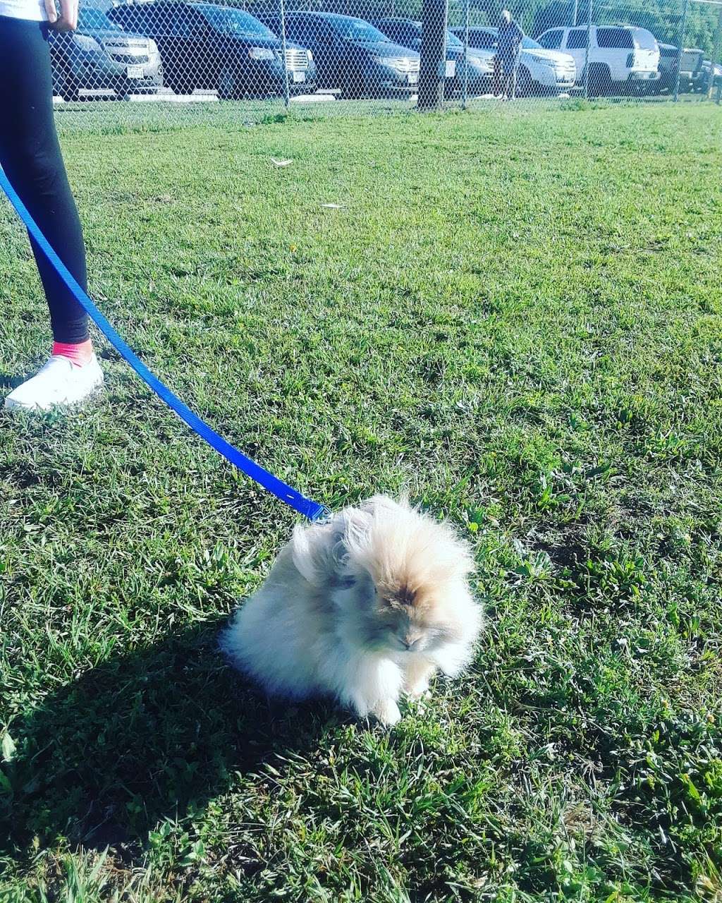 Thulemeyer Park | 901 Oak St, Schertz, TX 78154, USA | Phone: (210) 659-1610 Thulemeyer Park | 901 Oak St, Schertz, TX 78154, USA | Phone: (210) 659-1610