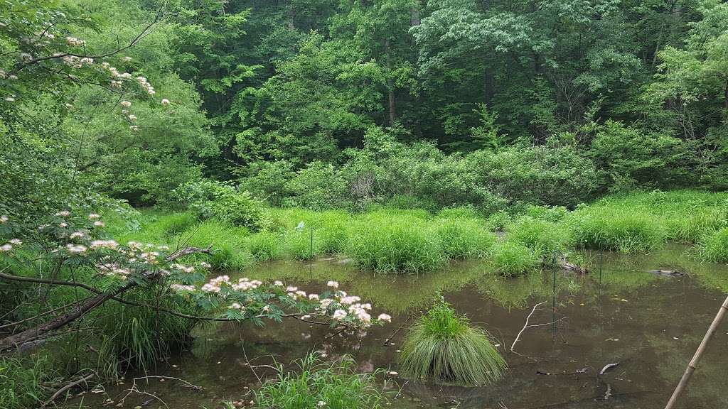 Dora Kelley Nature Park | 5750 Sanger Ave, Alexandria, VA 22311, USA | Phone: (703) 746-4343