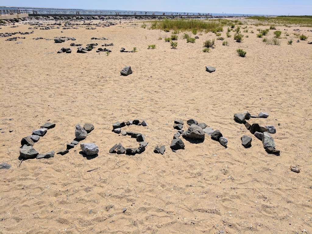 Barnegat Lighthouse State Park | 208 Broadway, Barnegat Light, NJ 08006, USA | Phone: (609) 494-2016