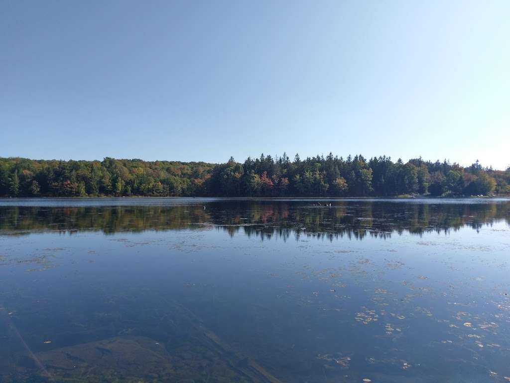 Promised land state park Conservation Island | Conservation Island, Greene Township, PA 18426, Greentown, PA 18426