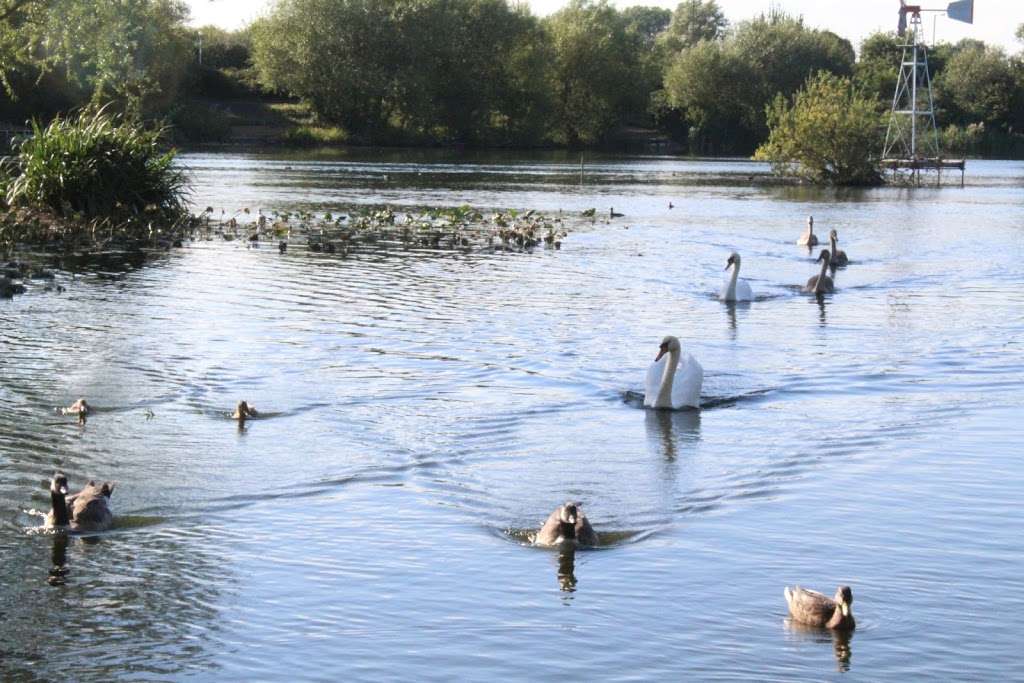 Eastbrookend Country Park | Dagenham RM7 0SS, UK | Phone: 020 8227 2332