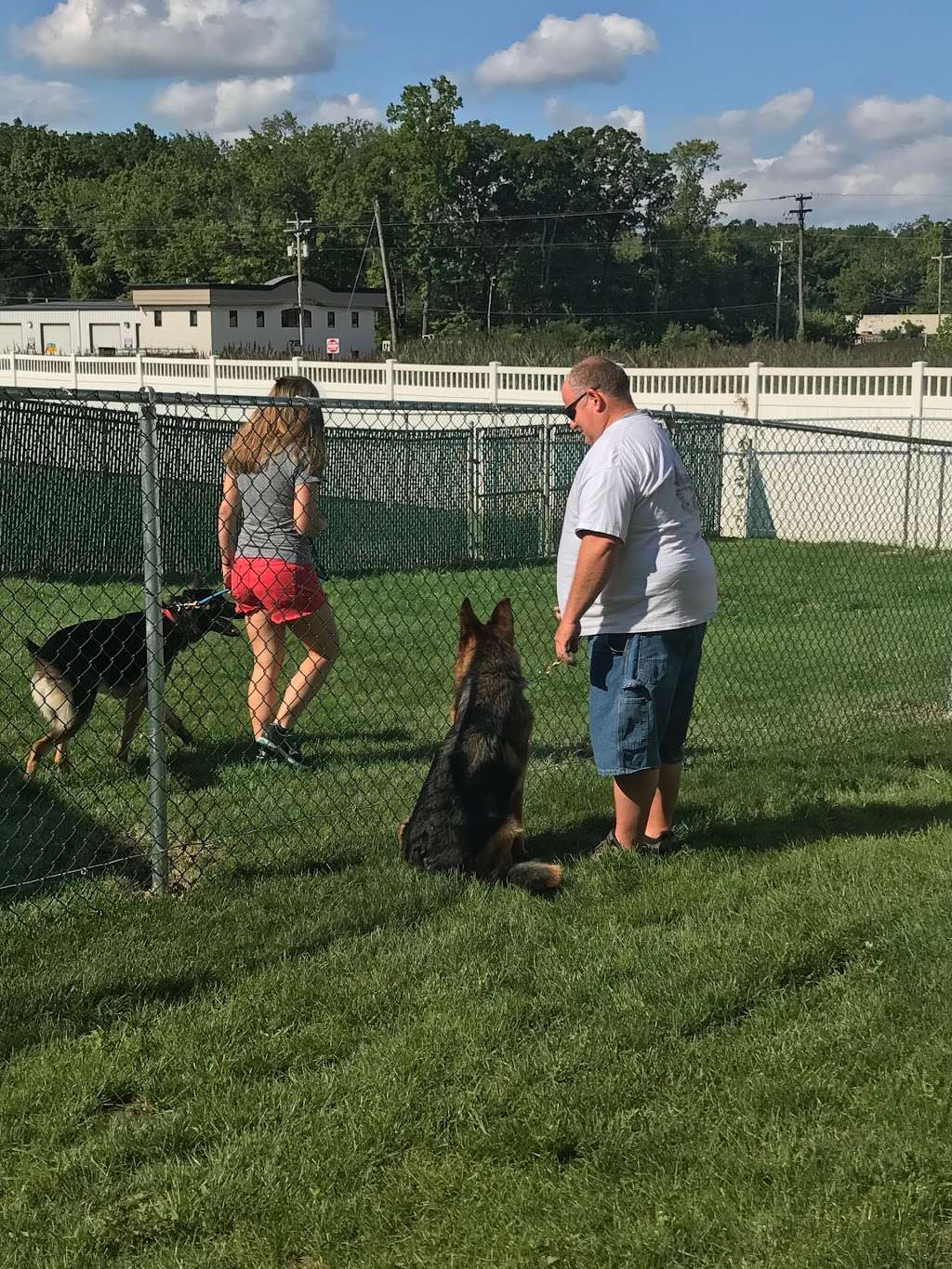 Blue Line K-9, Inc Dog Training | 800 Pulaski Hwy, Joppa, MD 21085, USA | Phone: (800) 266-2365