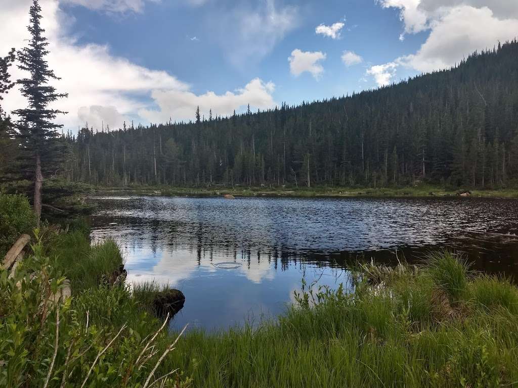 Coney Flats Trailhead | Lyons, CO 80540, USA