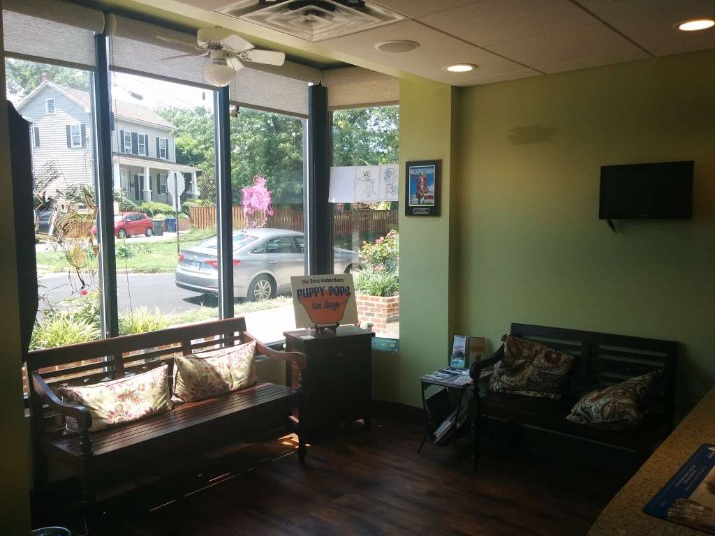 Del Ray Animal Hospital | 1147, 524 E Mt Ida Ave, Alexandria, VA 22301 | Phone: (703) 739-0000