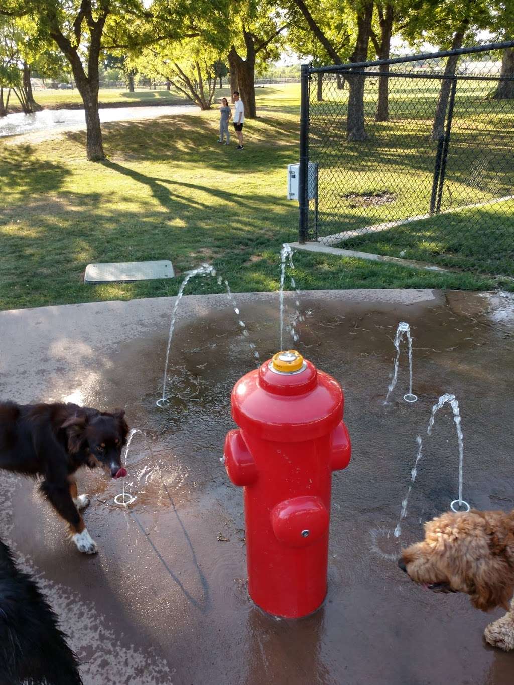 McInnish Dog Park | 2241 Sandy Lake Rd, Carrollton, TX 75006, USA | Phone: (972) 466-3080