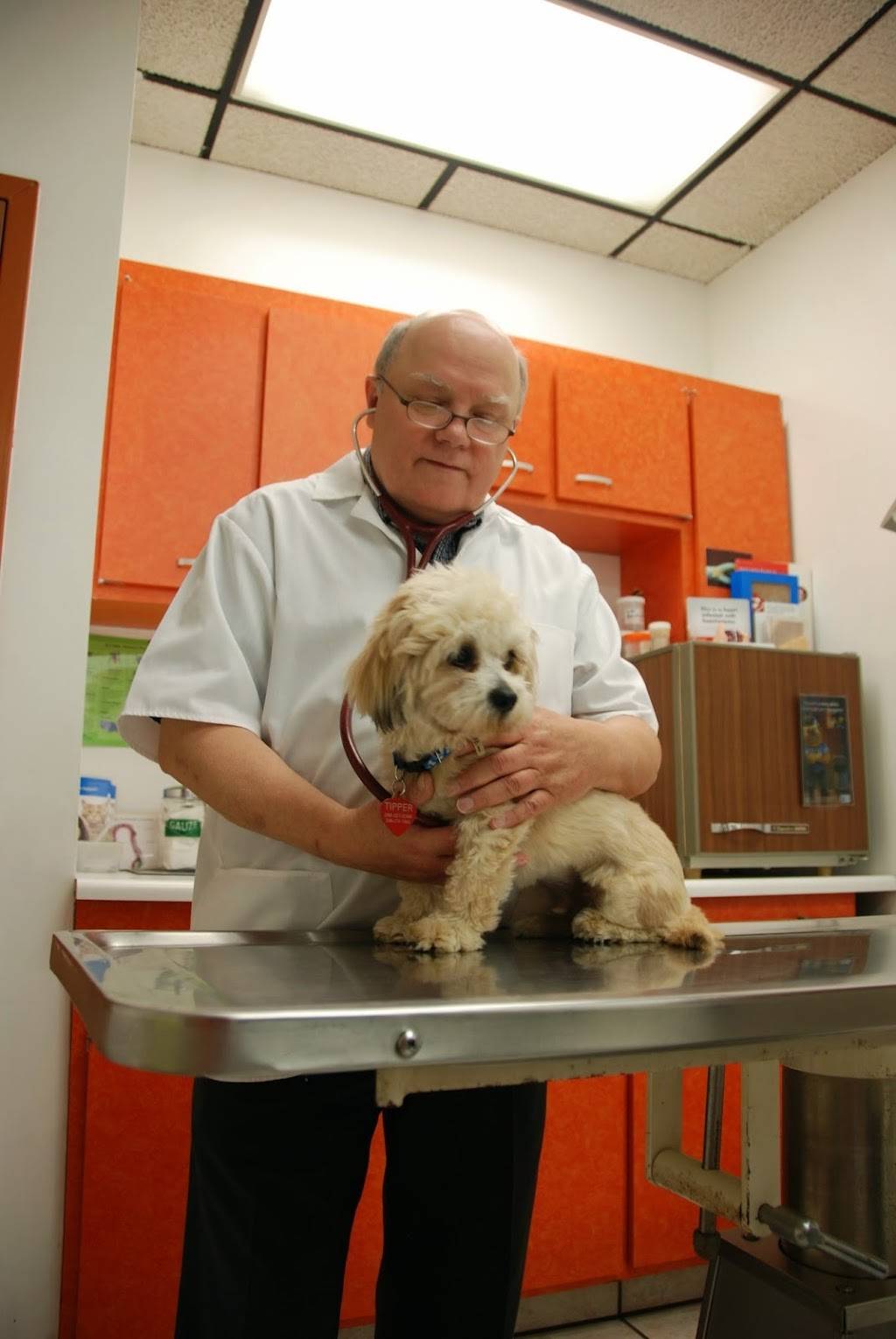 Eastside Veterinary Hospital | 23625 Van Dyke Ave, Warren, MI 48089, USA | Phone: (586) 755-2850