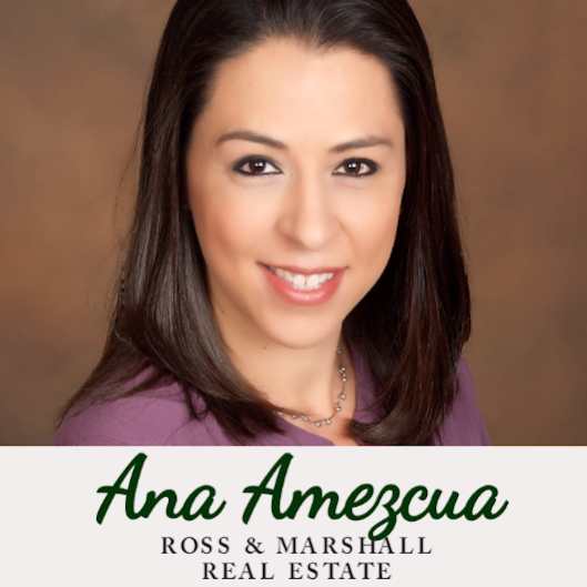 Ana Amezcua REALTOR | 4840, 12623 Jones Rd, Houston, TX 77070, USA | Phone: (832) 840-6958