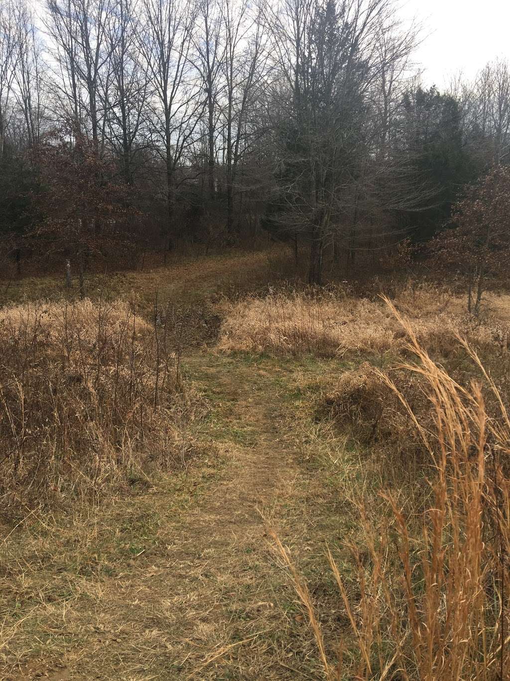 Blue Mash Nature Trail | 20400 Zion Rd, Gaithersburg, MD 20882, USA | Phone: (301) 495-4500