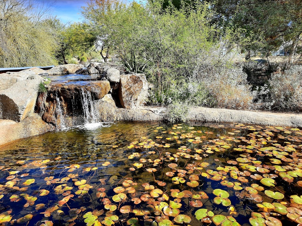 Desert Breeze Hummingbird Habitat | 4700-4724 W Desert St, Chandler, AZ 85226, USA | Phone: (480) 893-6652