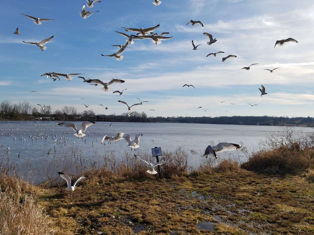 Church Road Bird Sanctuary | Church Rd, Pennsburg, PA 18073