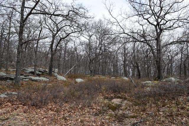 Anthonys Nose | Mystery Point Rd, Garrison, NY 10524, USA