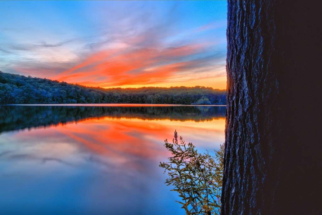 Gates Pond Reservoir Loop Trail | 99 Taylor Rd, Berlin, MA 01503, USA