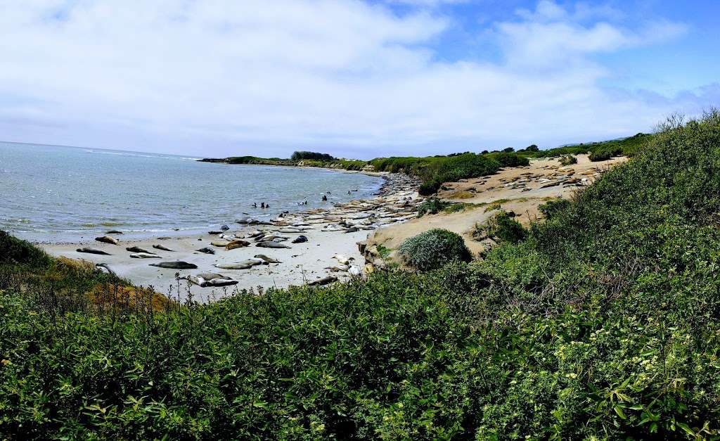 Marine Education Center | Pescadero, CA 94060, USA