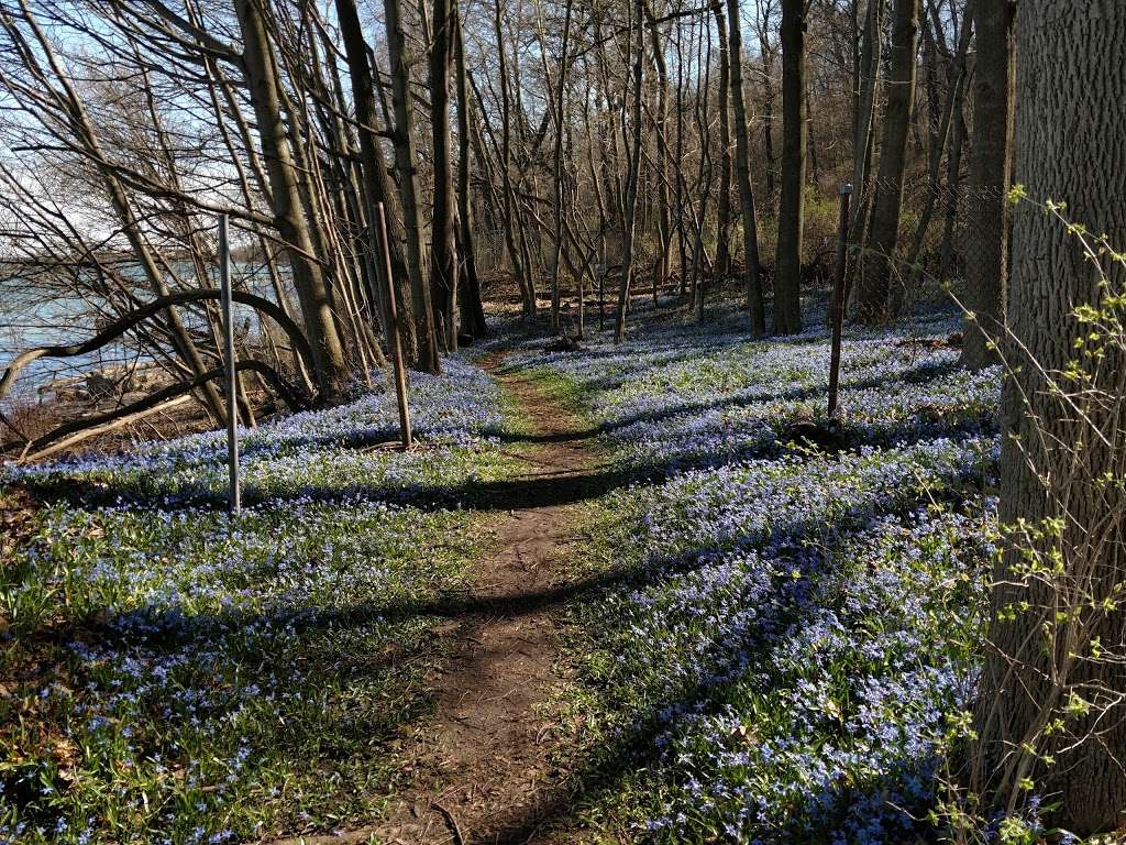 Shorewood Nature Preserve | 3950 N Lake Dr, Shorewood, WI 53211, USA | Phone: (414) 847-2650