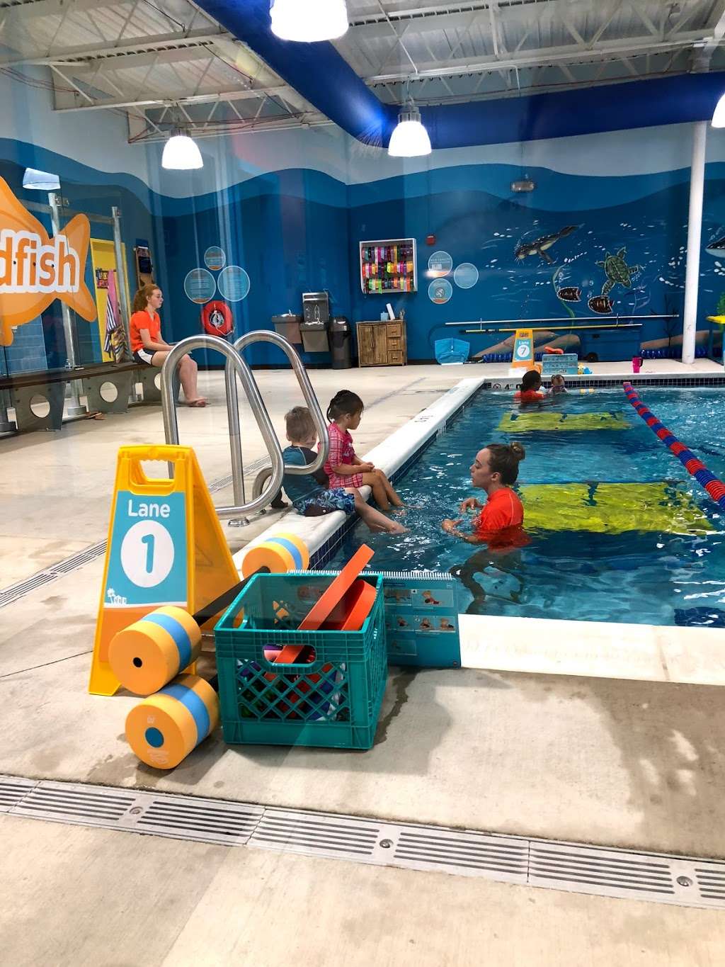 Goldfish Swim School - Park Ridge | 678 N Northwest Hwy, Park Ridge, IL 60068 | Phone: (224) 479-1414