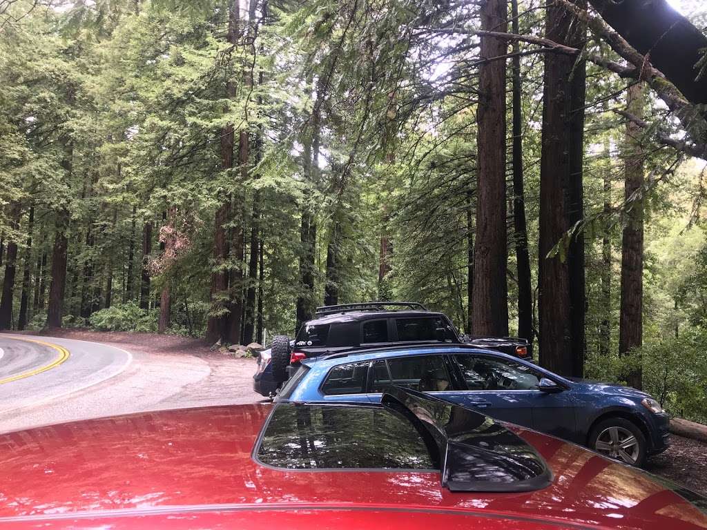 Henry Cowell Redwoods Parking Lot | 064 272-01, Felton, CA 95018, USA