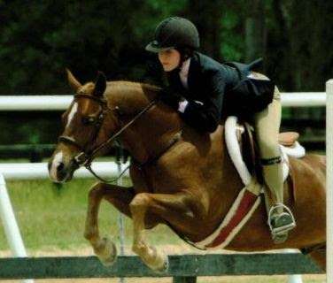 Central Florida Equestrian Center | 425 Faye St, Apopka, FL 32712, USA | Phone: (407) 402-6454